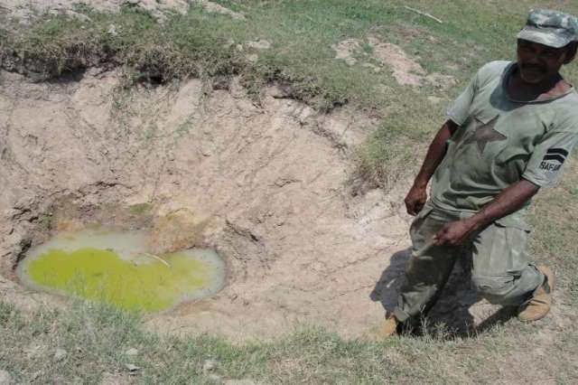 Advogado &eacute; acusado de trabalho escravo em fazenda do Pantanal 