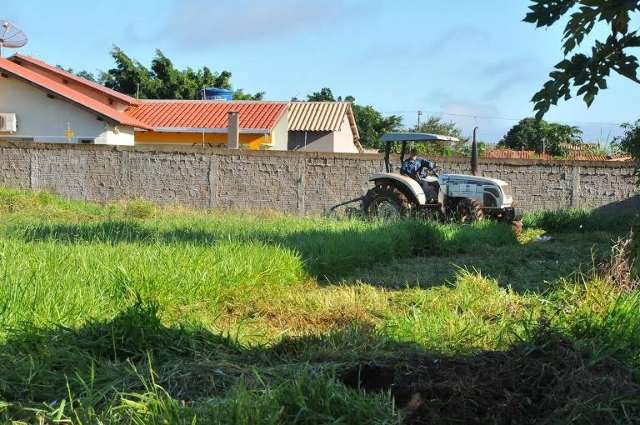 Prefeitura estabelece regras e multas para quem deixar de limpar terrenos
