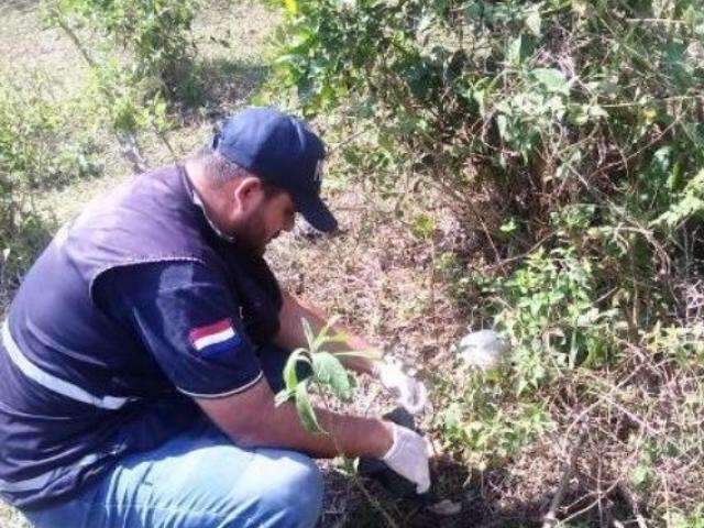 Pol&iacute;cia busca informa&ccedil;&otilde;es sobre ossada humana encontrada na fronteira