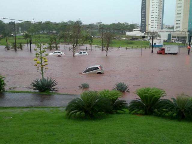 Temporal deixou estragos por todos os lados da cidade; confira imagens