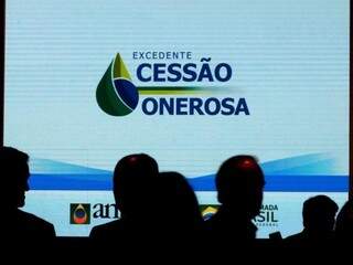 Dos quatro lotes disponibilizados em leilão, apenas dois foram arrematados pela Petrobras. (Foto: Tânia Rego/Agência Brasil)