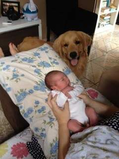 A proximidade é tamanha que cão sai em todas as fotos ao lado do bebê. (Foto: Arquivo Pessoal)