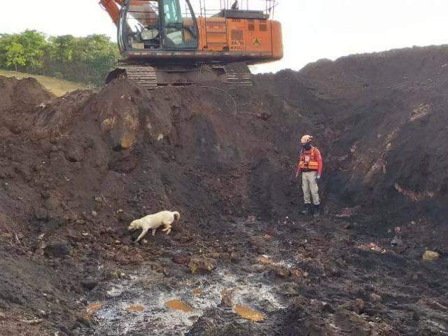 Bombeiros de MS e c&atilde;es que foram a Brumadinho s&atilde;o saudados durante voo