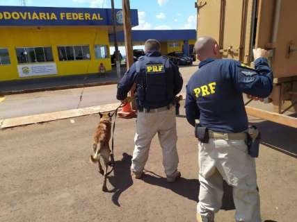 Policiais em MS v&atilde;o receber aulas sobre seguran&ccedil;a na fronteira