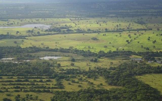 Pequenos produtores ter&atilde;o mais um ano para fazer o Cadastro Ambiental