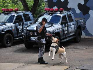 Cão Bóris doido pra pegar a bolinha na mão do policial (Foto: João Garrigó)