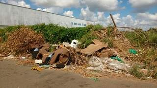 Acúmulo de lixo começa com podas de árvore descartadas em locais indevidos, segundo moradores (Foto: Bruna Kaspary)