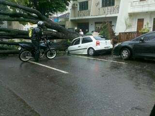 Na Dom Aquino, uma árvore caiu sobre um carro (Foto: Cristiano Costa)
