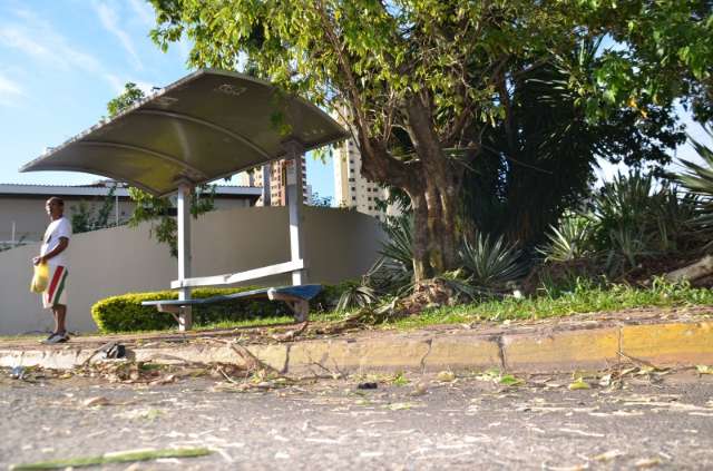 Jovem bate em &aacute;rvore e capota ve&iacute;culo na rua Ant&ocirc;nio Maria Coelho