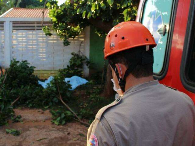 Homem morre ao levar descarga el&eacute;trica enquanto cortava &aacute;rvore