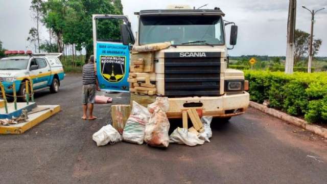 Policiais apreendem 210 quilos de maconha escondida em carreta