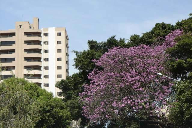 Segunda-feira amanhece com tempo aberto e calor em Campo Grande 