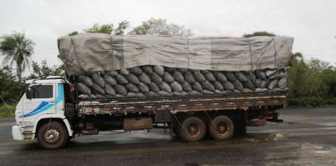 PMA apreende caminhão lotado de carvão ilegal e aplica multa de R$ 24 mil