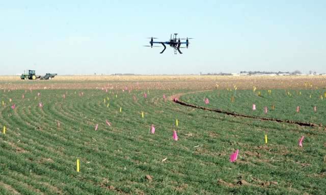 Congresso nacional sobre inova&ccedil;&atilde;o cient&iacute;fica no agroneg&oacute;cio come&ccedil;a hoje
