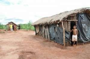 Ap&oacute;s 4 ordens de despejo, &iacute;ndios anunciam &quot;morte coletiva&quot; em Japor&atilde;