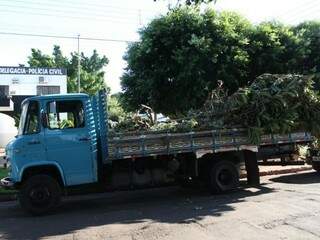 Caminhão que o verdureiro usava para transportar galhos de árvores (Foto: Saul Schramm)