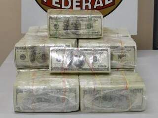 13 maços de dólares foram apreendidos e totalizam US$ 1.309.300. (Foto: Divulgação/PF)