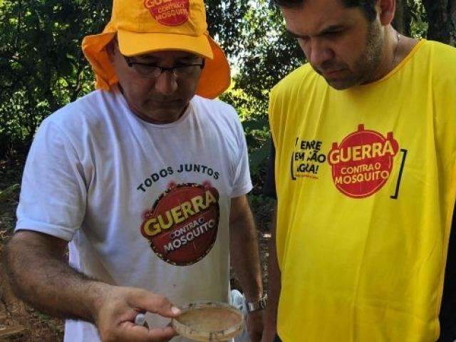 Mutir&atilde;o pretende eliminar focos de dengue no Parque dos Poderes