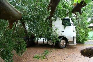 Árvore atingiu caminhão no Parque Lageado. (Foto: André Bittar)