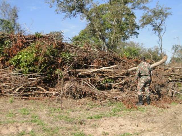 Fazendeiro &eacute; multado em R$ 18 mil por desmatar vegeta&ccedil;&atilde;o de cerrado 