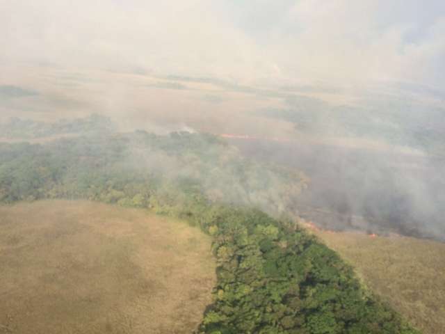 Inc&ecirc;ndio destruiu at&eacute; agora, 20 mil hectares de Parque Estadual