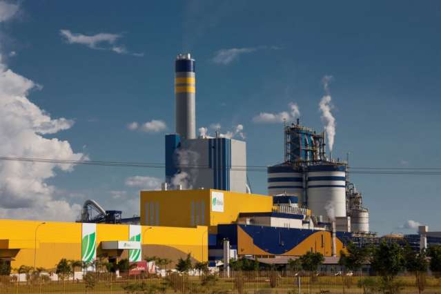 Fibria aprova investimentos de R$ 7,7 bi para duplicar unidade de MS