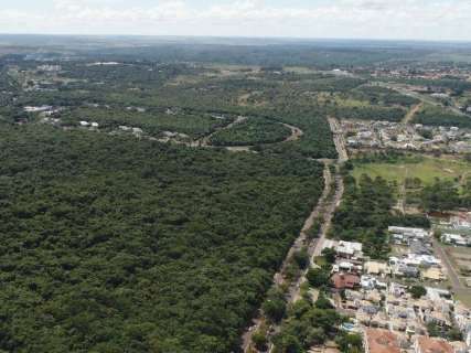 Liminar impede inicio de obra em área de 3,3 hectares no Parque dos Poderes