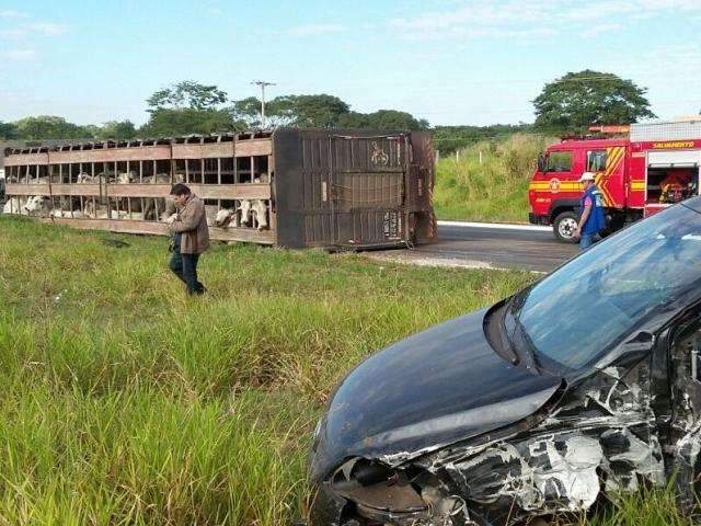 Após acidente com carro, caminhão transportando gado tomba na BR-262