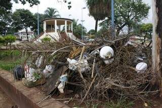 Lixo é facilmente encontrado na Cabeça de Boi, próximo a Praça das Araras (Foto: Marcos Ermínio)