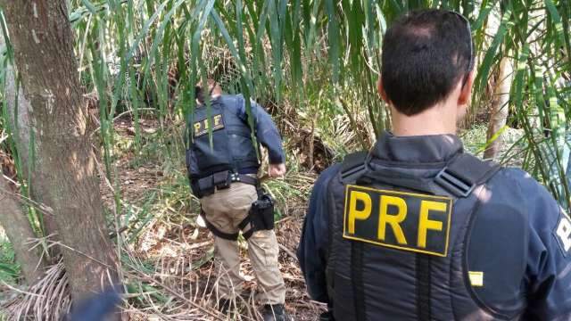 Ap&oacute;s 1 ano de queda de avi&atilde;o, pol&iacute;cia encontra drogas e armas em fazenda