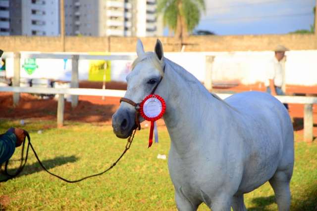 De cavalgada a leil&otilde;es, eventos rurais movimentam o fim de semana