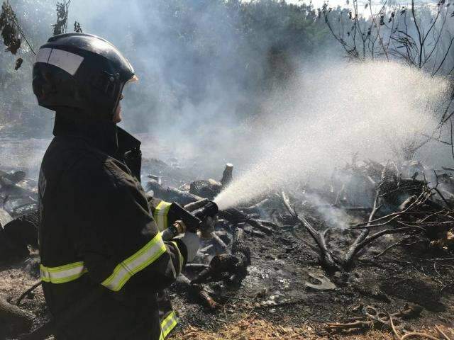 Cinco hectares de &aacute;rea usada como lix&atilde;o s&atilde;o destru&iacute;dos em inc&ecirc;ndio 