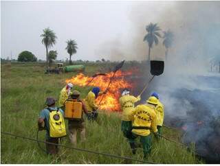 Brigadas trabalham no combate a queimada. Este ano, ocorrência está maior já em março. (Foto: Divulgação)