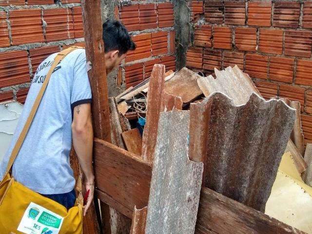 Dengue mata estudante de 11 anos, a 5&ordf; morte pela doen&ccedil;a em MS este ano