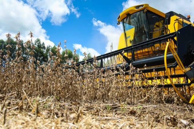 Produ&ccedil;&atilde;o agr&iacute;cola de MS deve cair 6% com atraso em plantio de milho