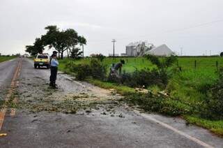 Pista já sem árvore que caiu durante vendaval. (Foto: Marcio Rogério/Nova News)