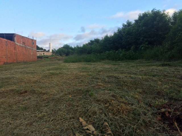 Terrenos abandonados incomodam e moradores decidem limpar por conta pr&oacute;pria