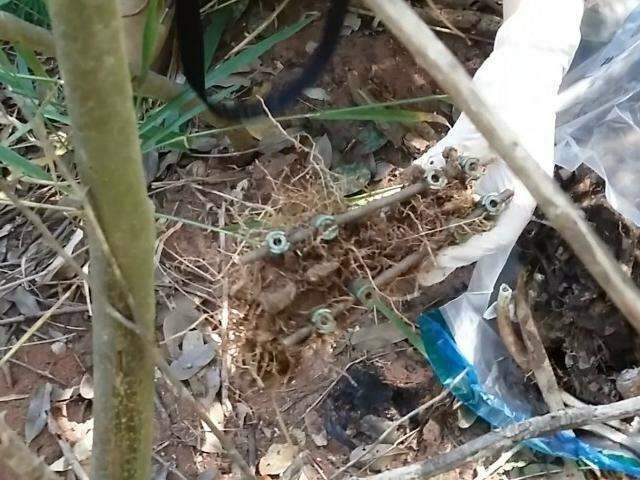 Ossada encontrada por militares pode ser de homem desaparecido em 2013