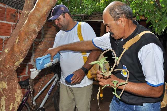 Sa&uacute;de retoma mutir&otilde;es em bairros com maior risco de dengue e chikungunya