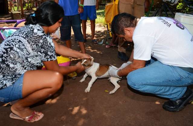 Come&ccedil;a hoje campanha contra raiva em cidades da fronteira com Corumb&aacute;