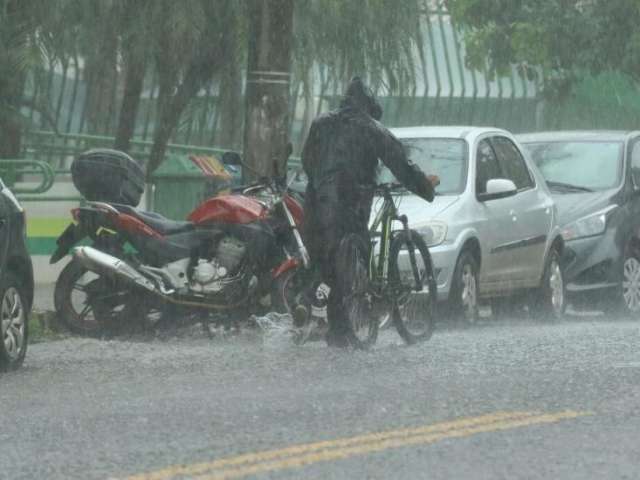 Em uma hora, chuva acumula 25 mm e gera alerta de risco para enxurradas 
