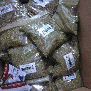 Propaganda de candidato a vereador &eacute; encontrada em erva de terer&eacute;