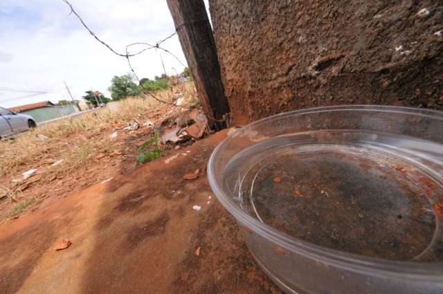 Dengue faz 1&ordf; v&iacute;tima na Capital e total de mortes pode chegar a 9 em MS