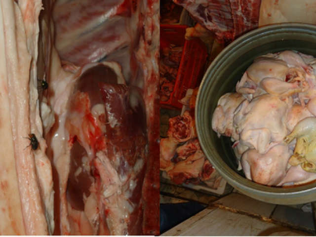  Em Dourados, Decon apreende 4 mil quilos de carnes em dep&oacute;sitos clandestinos 