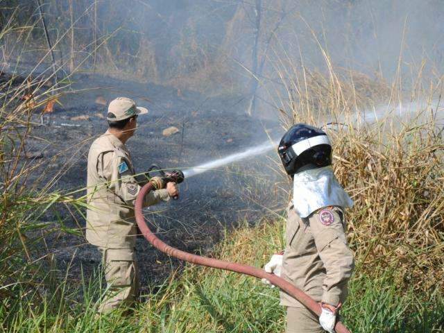 Fogo atinge um hectare de &aacute;rea pr&oacute;ximo a c&oacute;rrego no bairro Cai&ccedil;ara 