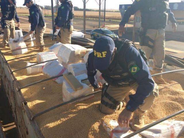 Maconha apreendida em meio a soja em carreta somou 7,5 toneladas