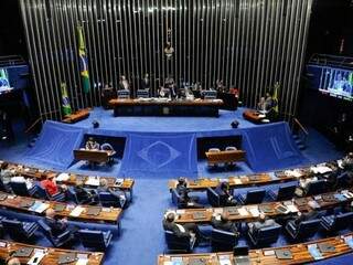 Senadores durante a votação no Senado, na noite desta terça-feira (20). (Foto: Jonas Pereira/Agência Senado)