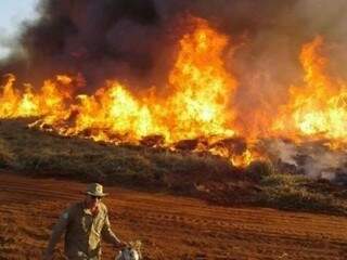 Incêndios florestais estão entre desastres registrados. (Foto: Divulgação/ Corpo de Bombeiros)