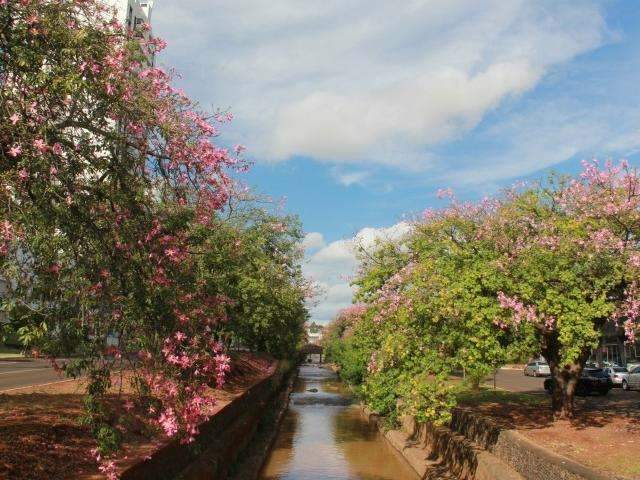 &Uacute;ltimo fim de semana do ver&atilde;o ter&aacute; chuvas e temperatura m&iacute;nima de 16&ordm;C