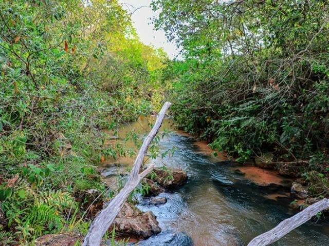 Inscri&ccedil;&otilde;es para caminhada em meio ao Cerrado de MS se encerram nesta quinta